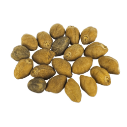 Ololiuhqui (Turbina/Rivea Corymbosa) - 3 gramas de sementes (mais de 100 sementes)